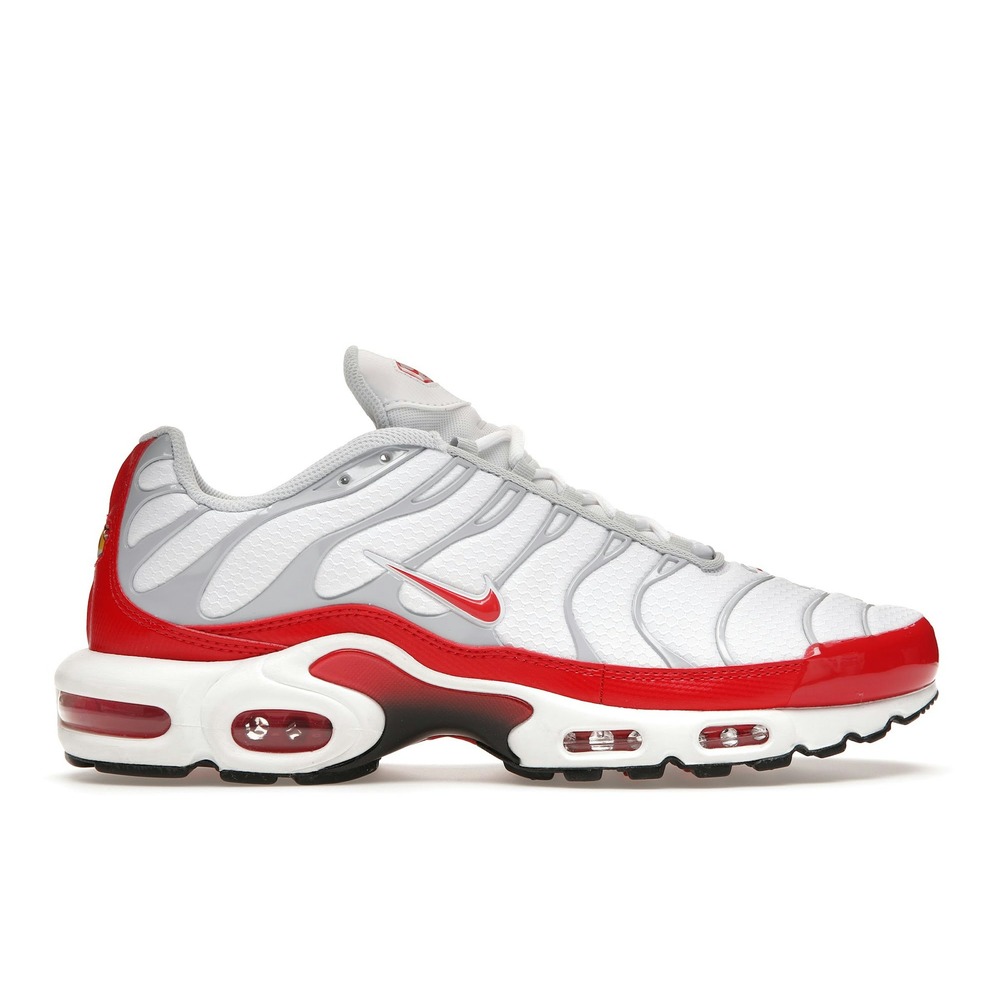 Nike Air Max Plus Air Max 1 Sneakers - DM8332-100