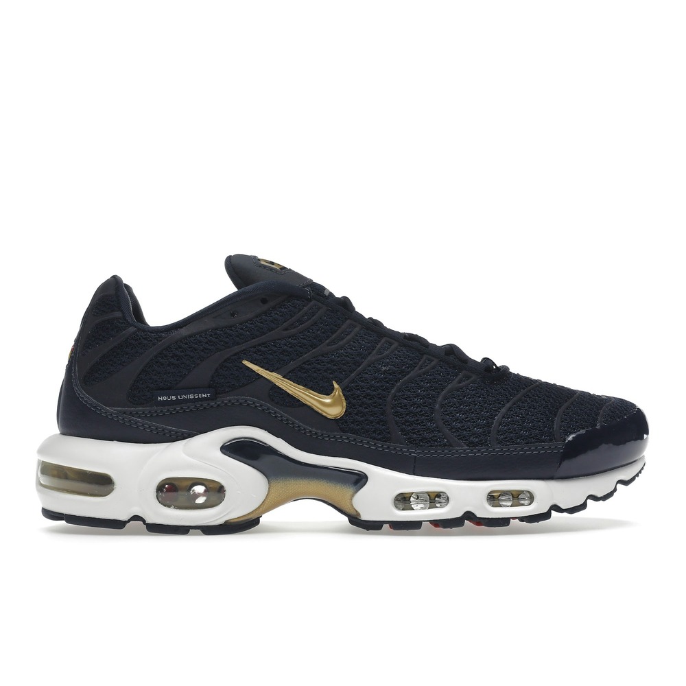 Nike Air Max Plus French Football Federation Shoes | FB3350-400